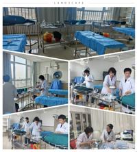 春华秋实夏如歌 生如夏花艳如火 | 记临床教学培训中心芬芳的五月