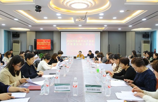 张掖市2024年第一季度妇产科医疗质控工作会议在我院顺利召开