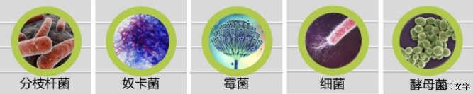 7412d2c9bdd545f3bee03f231220606f.png