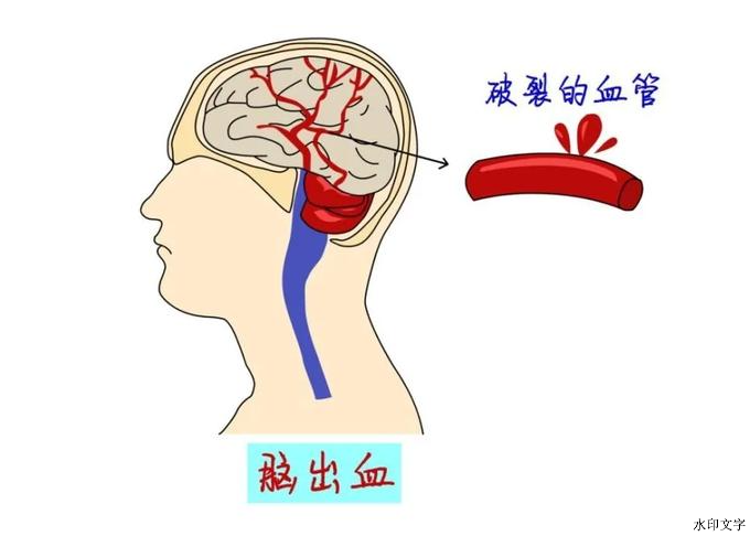 ad07e558ee7f4098af0afc265020aa9f.png