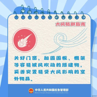 面对极端大风天气，健康防护这么做 | 科普时间