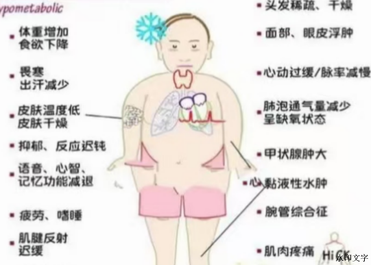 bcf4ca2614e94efba6d059abf6dc14aa.png