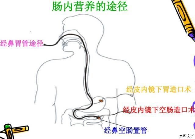 1b3f7add72e5473a8e979d5678b4bf61.png