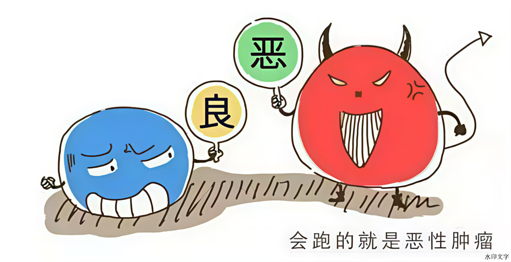 13f7bdd9b61d478a83e0ad23d08b30c8.png