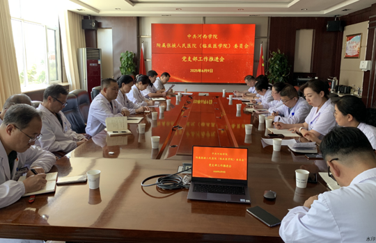 我院召开党支部工作推进会