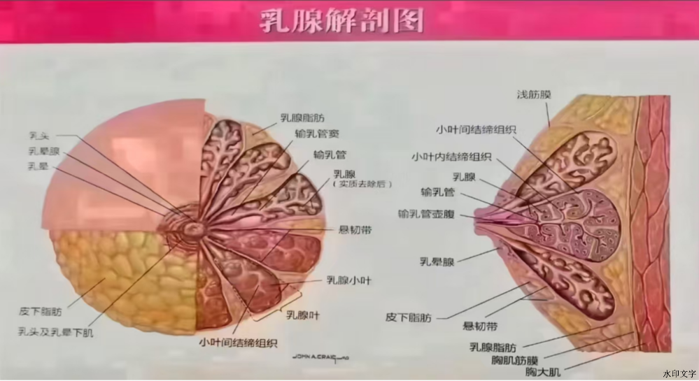 d6ccf4b751074131bbd8ae799858d93f.png