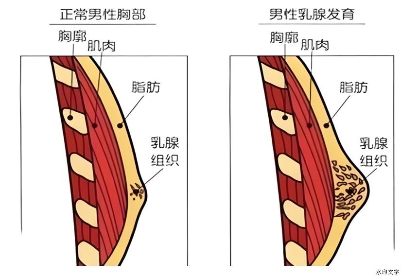 4784d19834a14c168898af8100568067.png