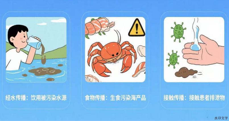e5c9068986214fe8bb9cf41154ecc919.png