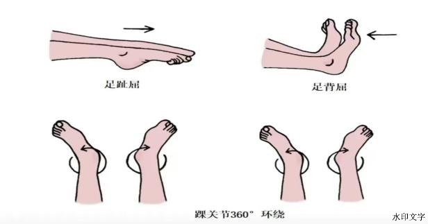 ead5dab73c42424f87e623feed163e82.png