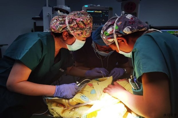 ceb043003615428b86f7c7cd6a69085c.png ceb043003615428b86f7c7cd6a69085c.png