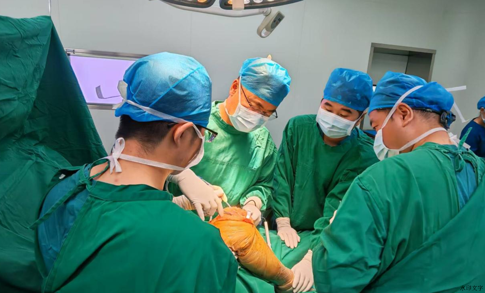 5ba775fdead44181a9d2de5044fefff2.png 5ba775fdead44181a9d2de5044fefff2.png