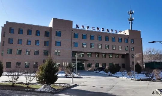 心光初照，步履不息 | 一年同行，共启“心”篇