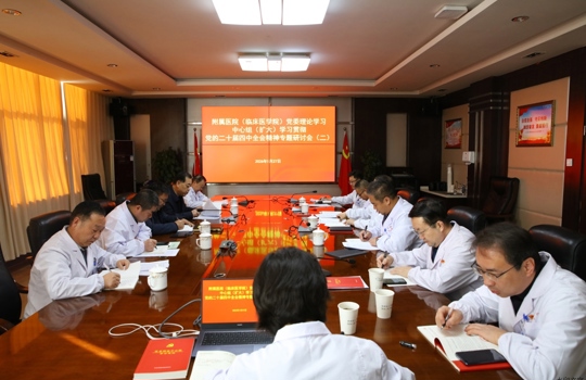 附属医院（临床医学院）党委理论学习中心组（扩大）专题学习研讨党的二十届四中全会精神（二）