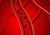 血管的“隐形年龄”谁来买单？——血管衰老机制与临床护理逆转策略