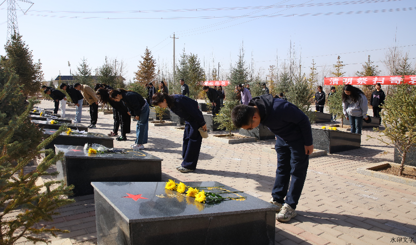 ae0b7cbc2b5e49968fcfec36877e6c6b.png ae0b7cbc2b5e49968fcfec36877e6c6b.png