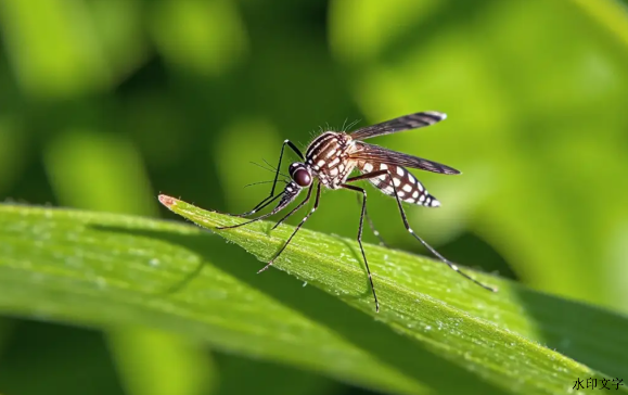 9728d6abefce44579867aec5b4be7c1f.png 9728d6abefce44579867aec5b4be7c1f.png