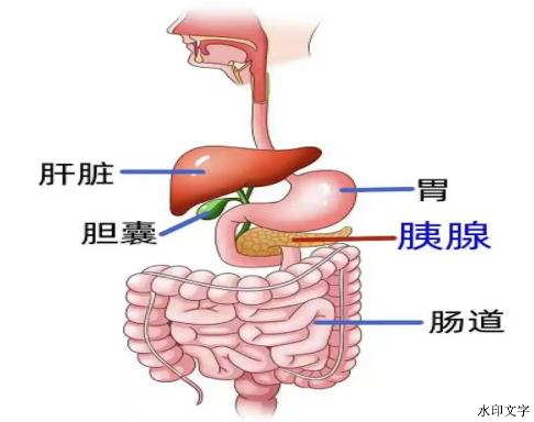1bca95bec8314436baa8cd24858ecc7e.png