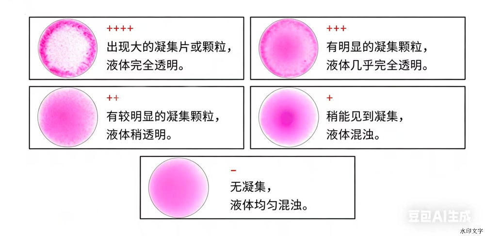 300e3f5ee6764adf8161e464191e9306.png