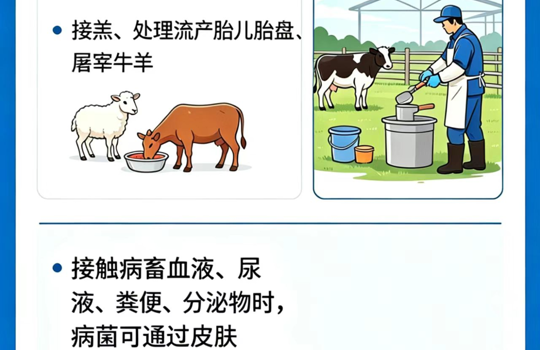 阻断“布”入，别让“懒汉病”找上门