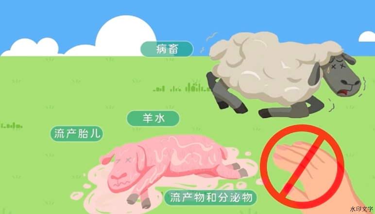 c5544eca87944e72ab12a03444918252.png