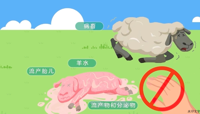 认识布鲁氏杆菌病 科学防控护健康
