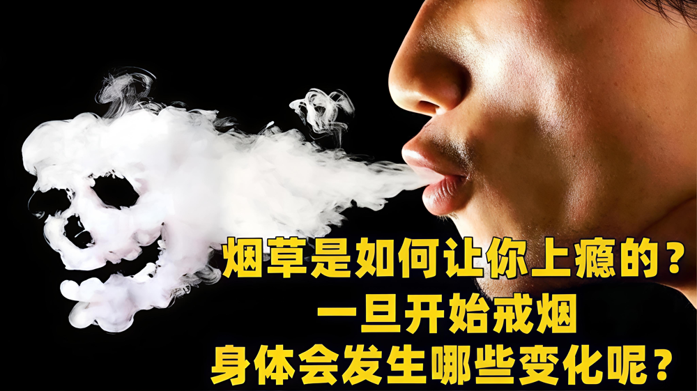 b4fb6d99a73e489297d9fed753e6f322.png