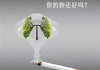  “抗癌”先戒烟，守护心肺血管健康