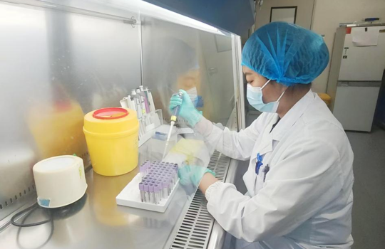 拓宽检验维度，护航临床决策——叶酸代谢能力基因检测项目正式上线