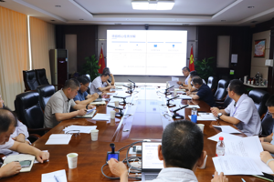 我院召开2026年第二季度省级临床卓越专科建设调度会