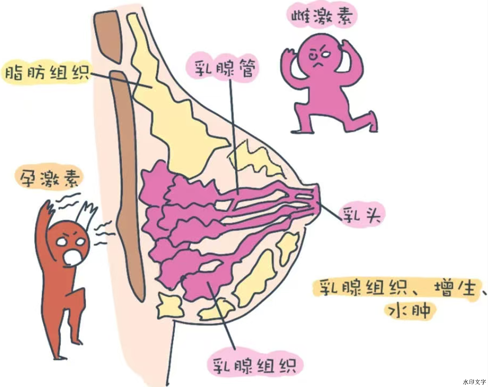 befcec8d118445be9fa5d280a98d6d8b.png