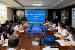 我院召开高校直属附属医院问题专项整治工作调度会