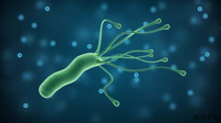 幽门螺杆菌：胃里的“隐形杀手”，您了解多少？