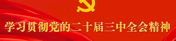 学习贯彻党的二十届三中全会精神专栏