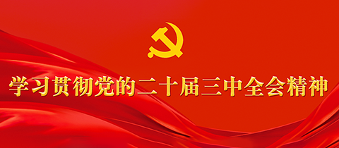 学习贯彻党的二十届三中全会精神专栏