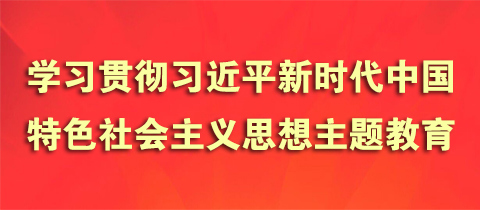 学习贯彻习近平新时代中国特色社会主义思想主题教育专栏